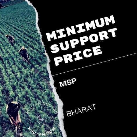 A Safety Net or Market Distortion? Examining India's Minimum Support Price (Nuutan.com)