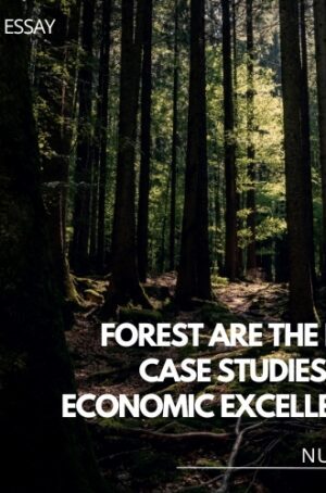 Forests as Economic Excellence - A Path to Sustainable Growth and Prosperity