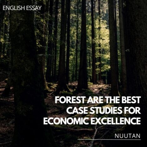 Forests as Economic Excellence - A Path to Sustainable Growth and Prosperity